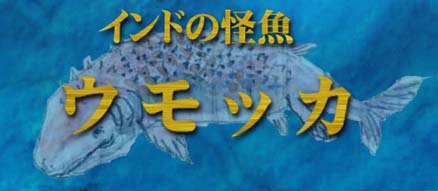 EbJC[W